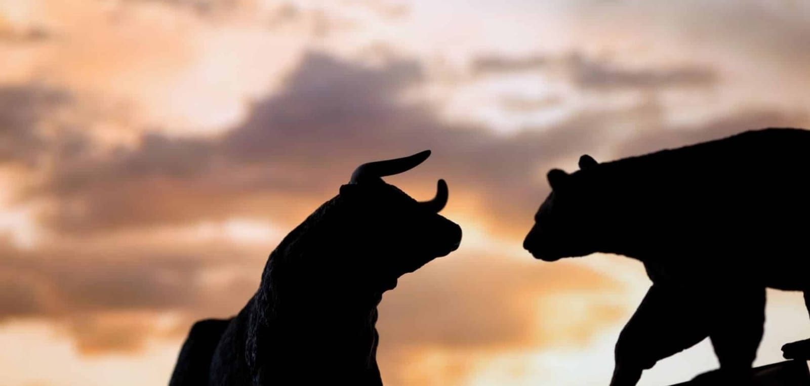 Navigating the New Bull Market, Insights from the S&P 500's Latest Milestone